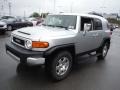 Titanium Metallic - FJ Cruiser 4WD Photo No. 4