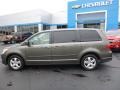 Meteor Gray Metallic - Routan SE Photo No. 2