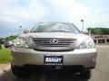 Thunder Cloud Metallic - RX 330 AWD Thundercloud Edition Photo No. 1