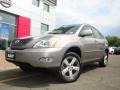 Thunder Cloud Metallic - RX 330 AWD Thundercloud Edition Photo No. 2