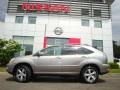 Thunder Cloud Metallic - RX 330 AWD Thundercloud Edition Photo No. 4