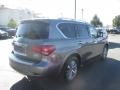 Graphite Shadow - QX80 AWD Photo No. 6
