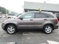 2010 Urban Titanium Metallic Honda CR-V EX AWD  photo #2