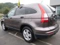 2010 Urban Titanium Metallic Honda CR-V EX AWD  photo #3