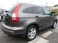 2010 Urban Titanium Metallic Honda CR-V EX AWD  photo #6