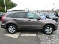 2010 Urban Titanium Metallic Honda CR-V EX AWD  photo #7
