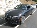 Jet Black 2016 BMW 2 Series 228i xDrive Coupe Exterior