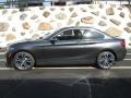 Mineral Grey Metallic 2016 BMW 2 Series 228i xDrive Coupe Exterior