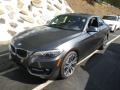 Mineral Grey Metallic 2016 BMW 2 Series 228i xDrive Coupe Exterior
