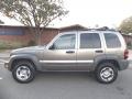 Light Khaki Metallic - Liberty Sport 4x4 Photo No. 2