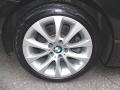 2010 BMW 3 Series 335i xDrive Coupe Wheel and Tire Photo