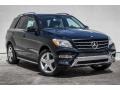 Black - ML 350 4Matic Photo No. 12