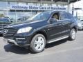 Black - ML 350 4Matic Photo No. 1