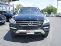 Black - ML 350 4Matic Photo No. 2
