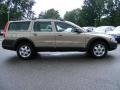 Ash Gold Metallic - V70 2.4T XC AWD Wagon Photo No. 6