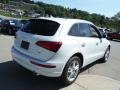 2016 Glacier White Metallic Audi Q5 2.0 TFSI Premium quattro  photo #12