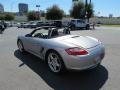 Arctic Silver Metallic - Boxster S Photo No. 6