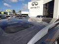 Platinum Graphite - QX80 AWD Photo No. 7
