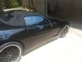 Black - Corvette Convertible Photo No. 5