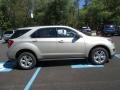 Champagne Silver Metallic - Equinox LS AWD Photo No. 8