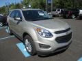 Champagne Silver Metallic - Equinox LS AWD Photo No. 9