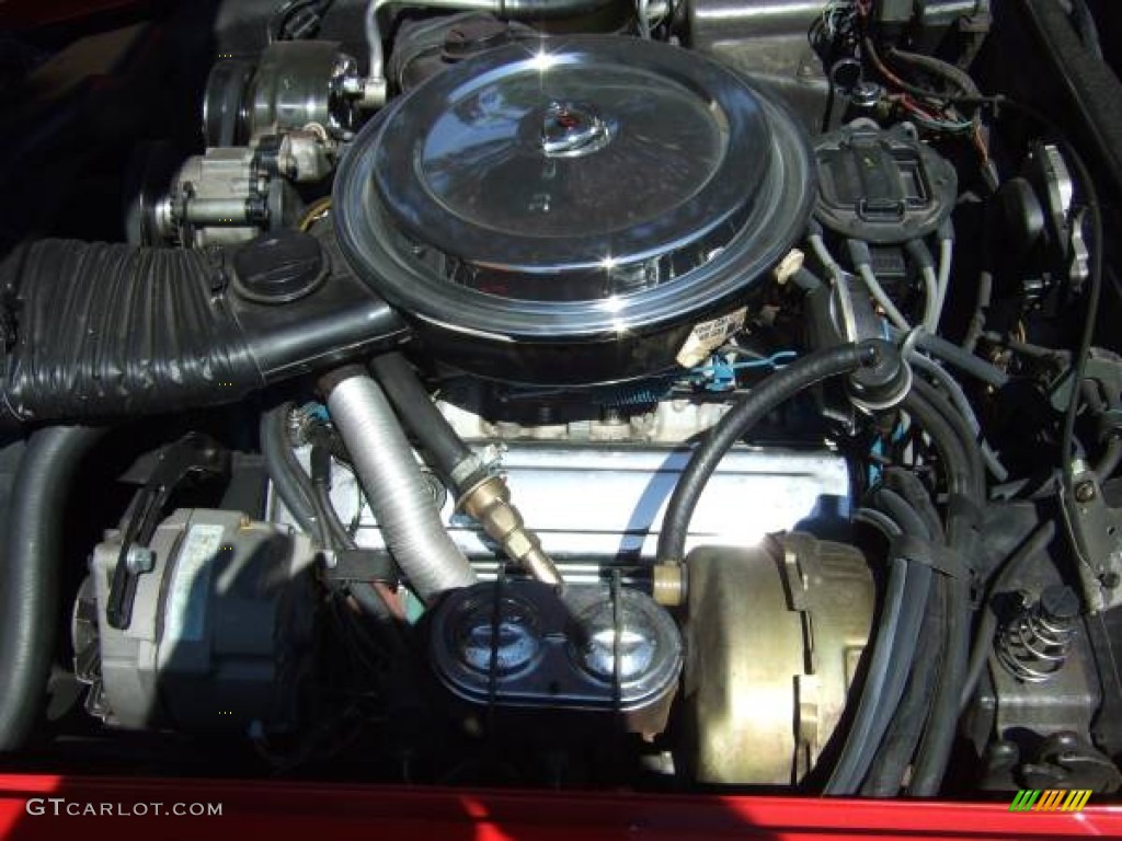 1980 Corvette Coupe - Red / Black photo #8