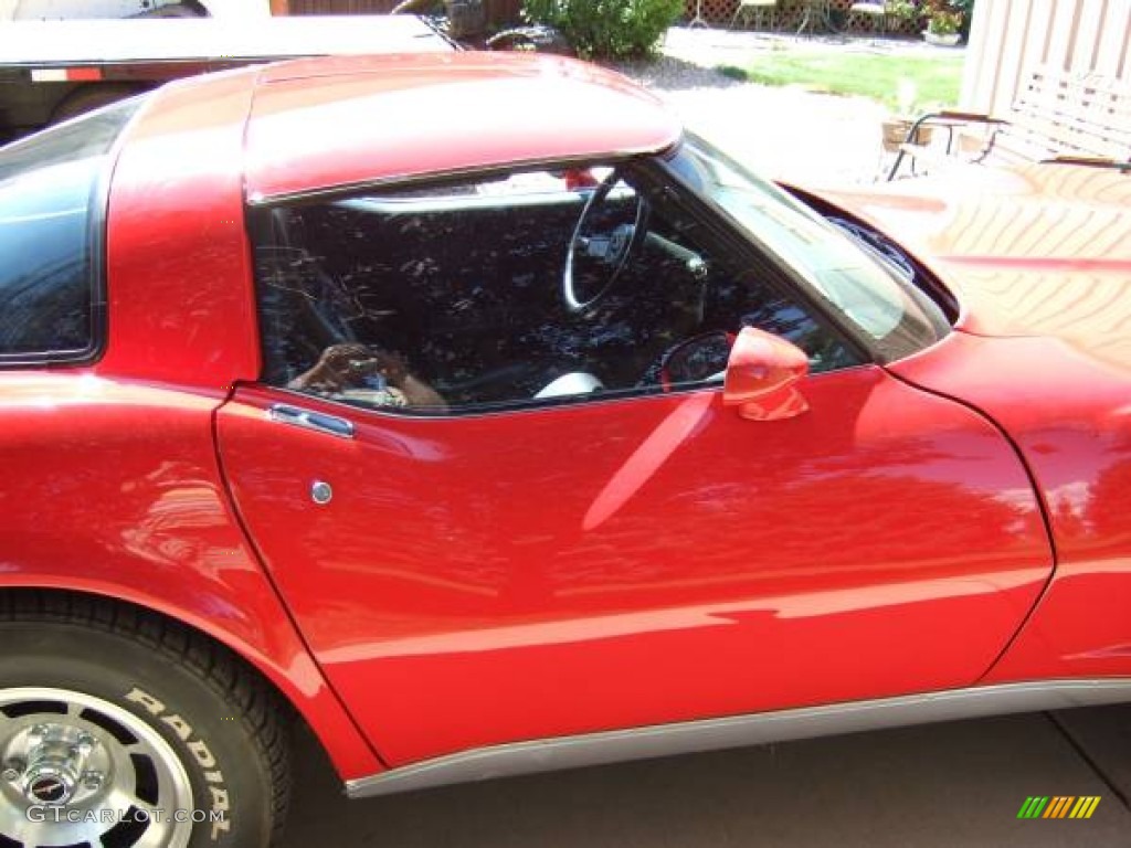 1980 Corvette Coupe - Red / Black photo #21
