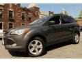 2014 Sterling Gray Ford Escape SE 1.6L EcoBoost 4WD  photo #1