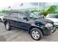 Nighthawk Black Pearl - MDX  Photo No. 31