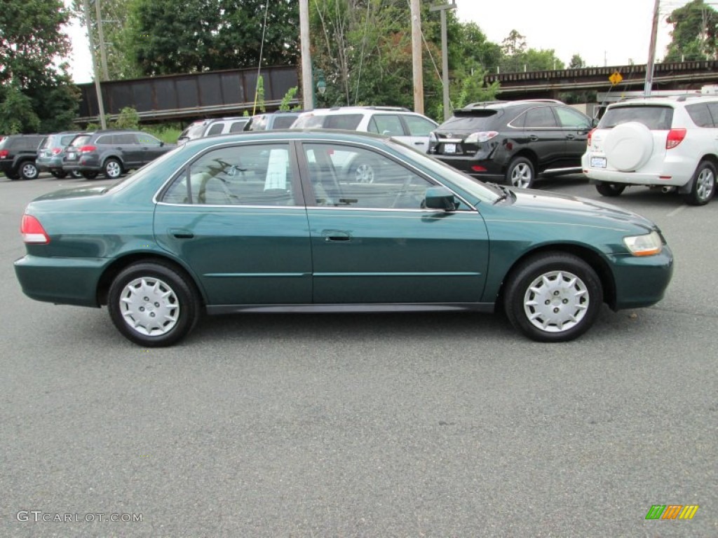 2002 Accord LX Sedan - Noble Green Pearl / Ivory photo #5