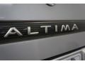Platinum Metallic - Altima SE Photo No. 148