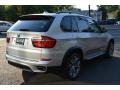 Titanium Silver Metallic - X5 xDrive 50i Photo No. 3