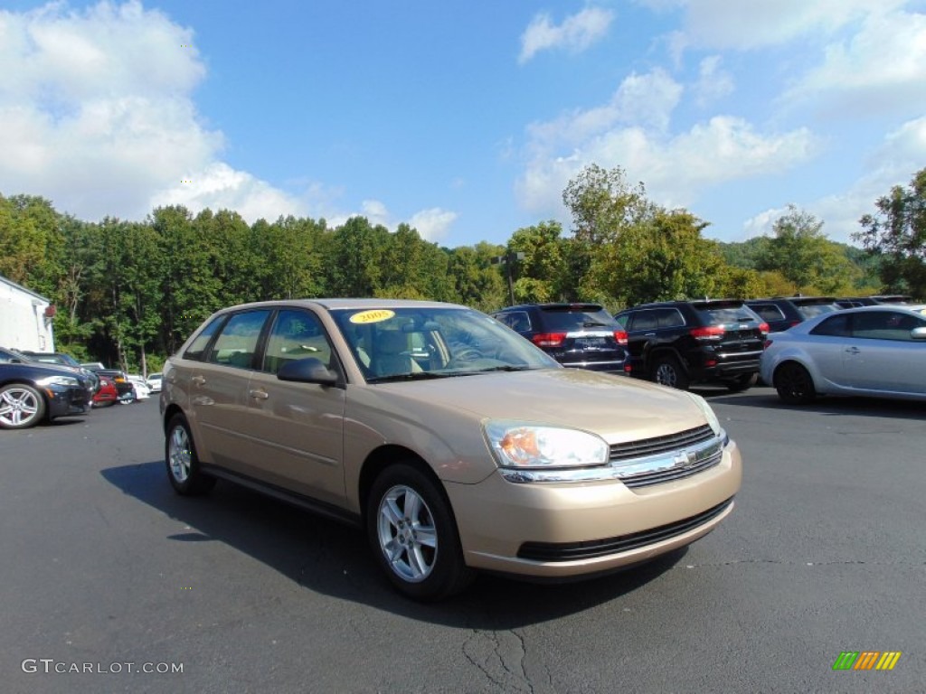 2005 Malibu Maxx LS Wagon - Light Driftwood Metallic / Neutral Beige photo #26