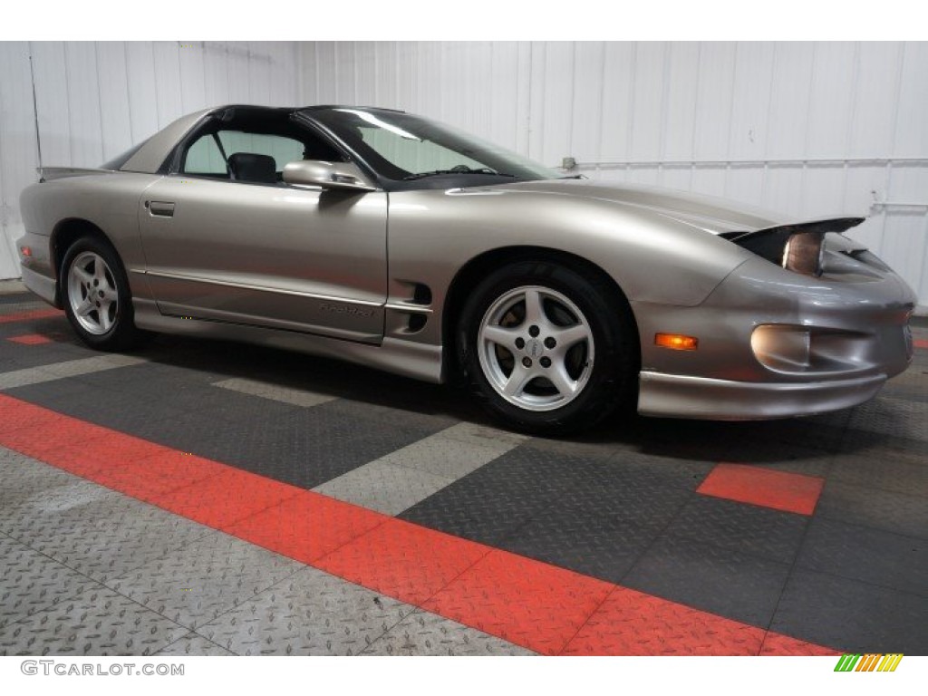 Pewter Metallic 2002 Pontiac Firebird Coupe Exterior Photo #107250935