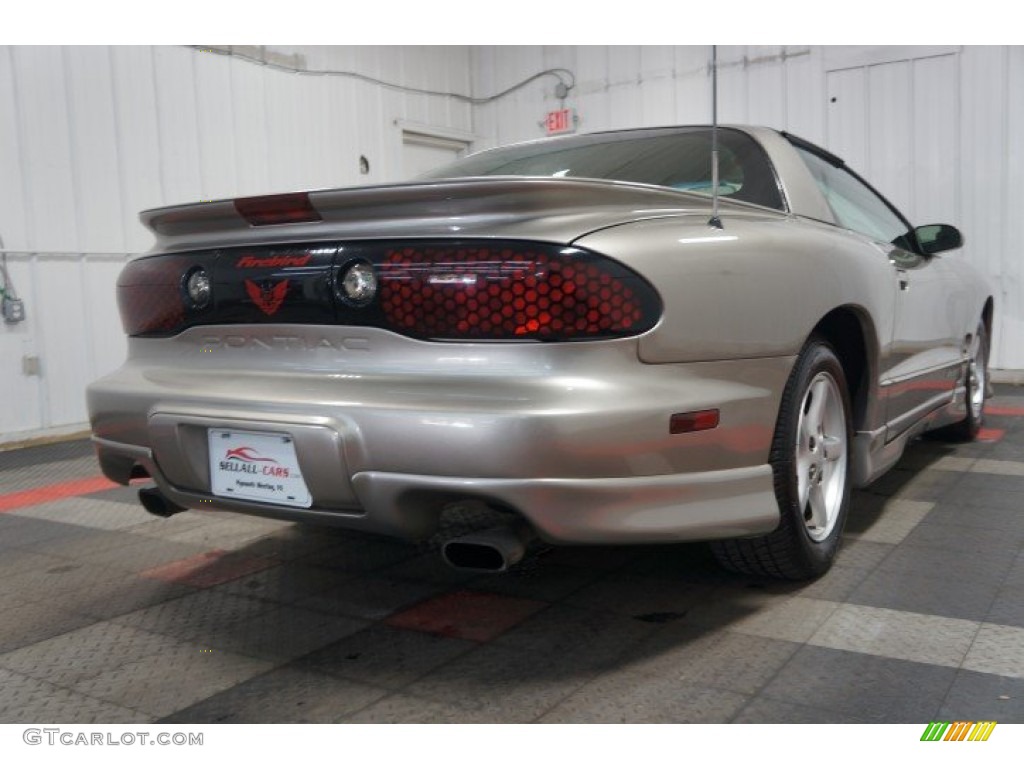 2002 Firebird Coupe - Pewter Metallic / Ebony Black photo #8