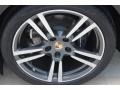 2013 Porsche Panamera 4 Platinum Edition Wheel and Tire Photo