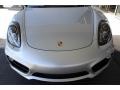 Platinum Silver Metallic - Cayman S Photo No. 2