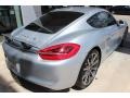 2014 Platinum Silver Metallic Porsche Cayman S  photo #10