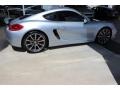 Platinum Silver Metallic - Cayman S Photo No. 13