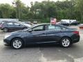 Pacific Blue Pearl - Sonata GLS Photo No. 10