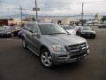 Paladium Silver Metallic - GL 450 4Matic Photo No. 2