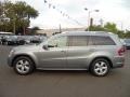 Paladium Silver Metallic - GL 450 4Matic Photo No. 6