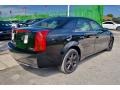 Black Raven - CTS Sedan Photo No. 35