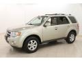 Gold Leaf Metallic - Escape Limited V6 4WD Photo No. 3