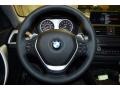 Black Steering Wheel Photo for 2016 BMW 2 Series #107326475