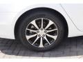 Bellanova White Pearl - TLX 2.4 Photo No. 11