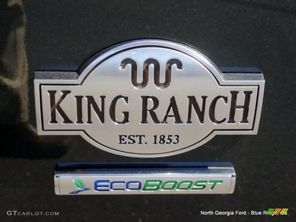 2015 F150 King Ranch SuperCrew 4x4 - Guard Metallic / King Ranch Java/Mesa photo #39