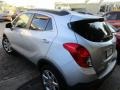 Quicksilver Metallic - Encore Premium Photo No. 4