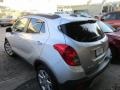Quicksilver Metallic - Encore Premium Photo No. 6