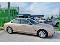 Topaz Beige - S-Type 4.0 Photo No. 6